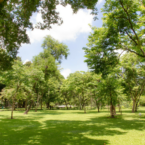 park 