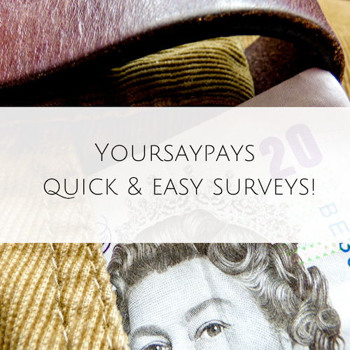 YourSayPays