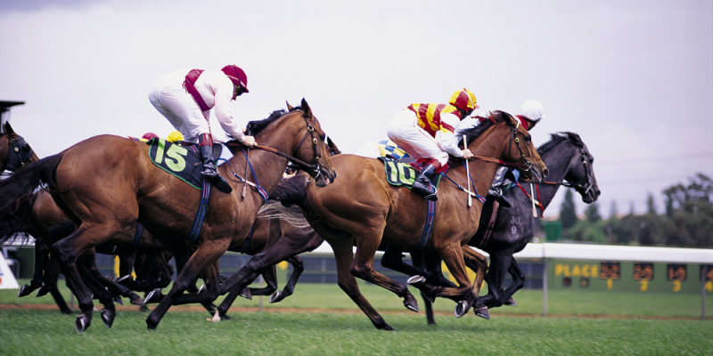 Enjoy a Virtual Day at the Races!