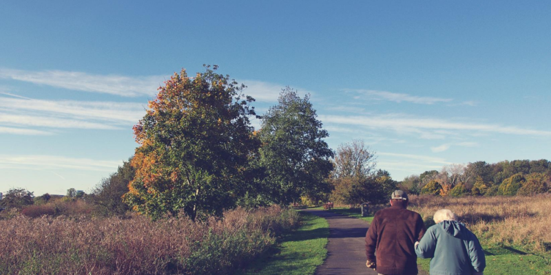 Health in retirement