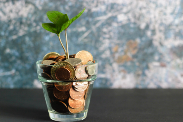 Money growing roots in a vase