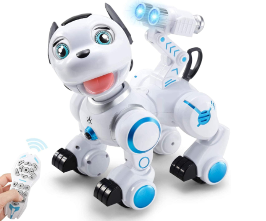 Robot Dog