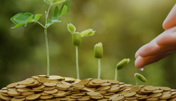 Everything You Need to Know About Regal Assets and Investing in Precious Metals