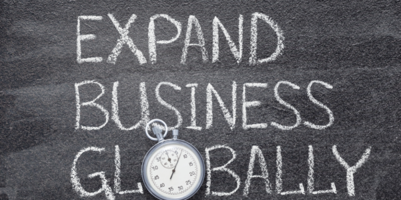 What are the risks of expanding your company overseas?