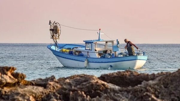 sea fishing
