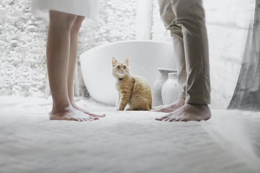 couple and cat