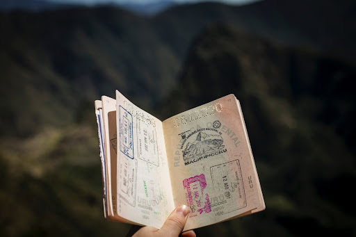 hand holding passport