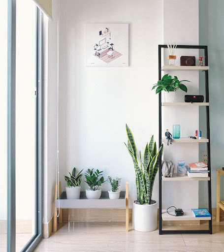 light room with plants