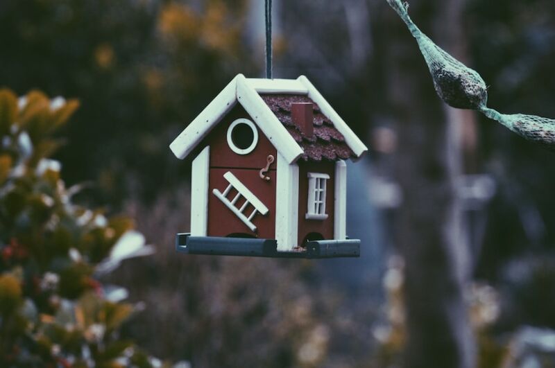 bird house