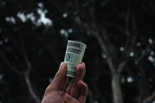 hand holding rolled up dollar bills