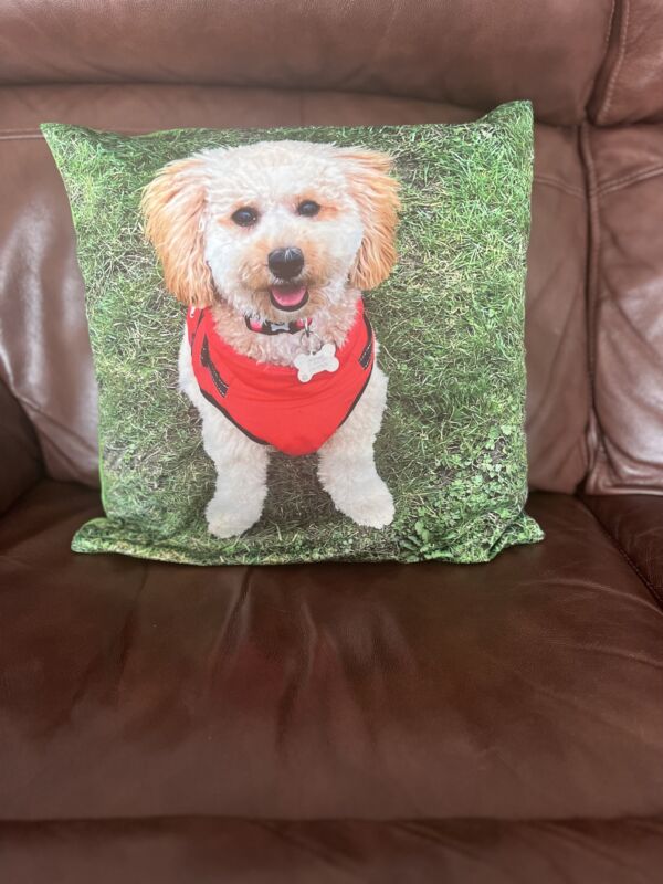 My-Picture cushion