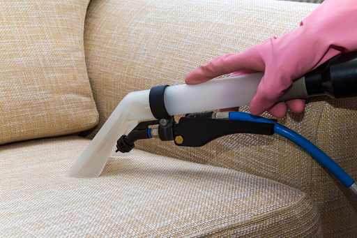 sofa cleaning