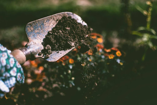 trowel with soil on