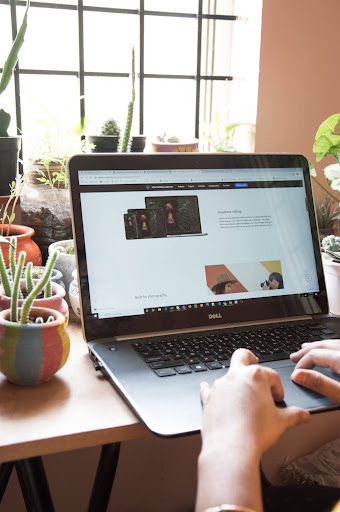 laptop and plants