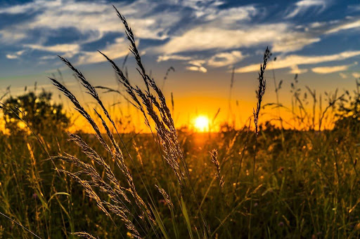 sunrise