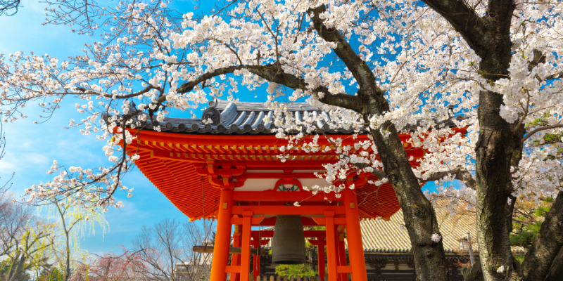 Japanese
