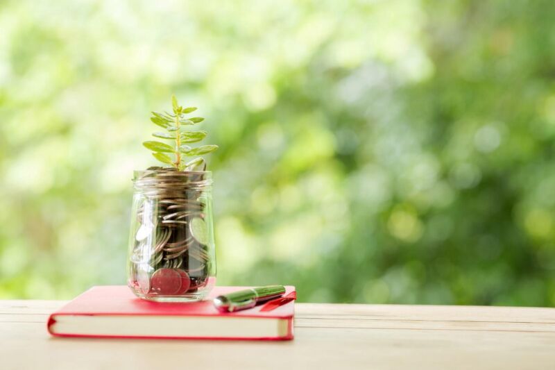 Plant growing out of money