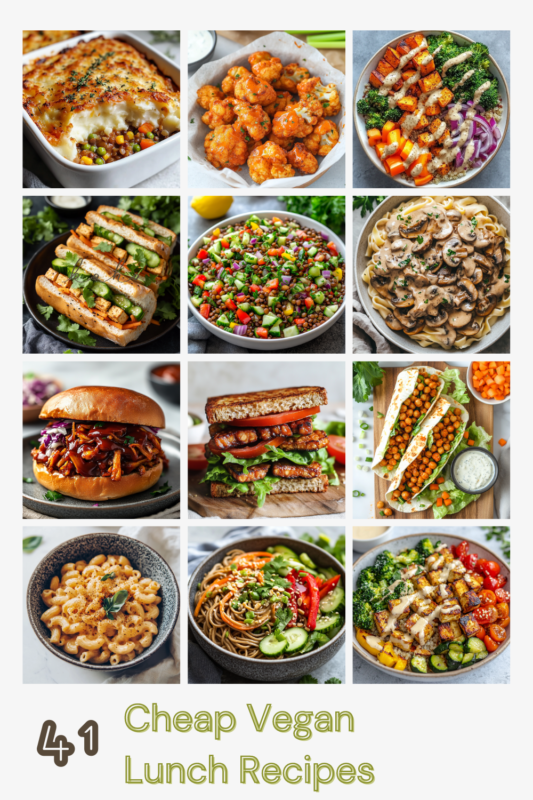 41 Cheap Vegan Lunch Recipes