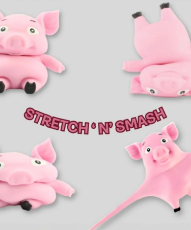 Stretch 'n' Smash Pig