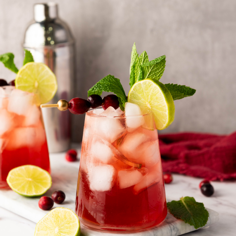 Cranberry Lime Mocktail