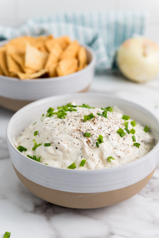 Caramelized Onion Dip