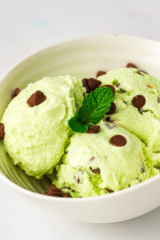 Ninja Creami Mint Chocolate Chip Ice Cream