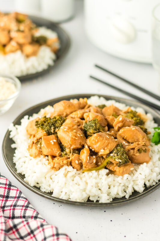 Crockpot Teriyaki Chicken